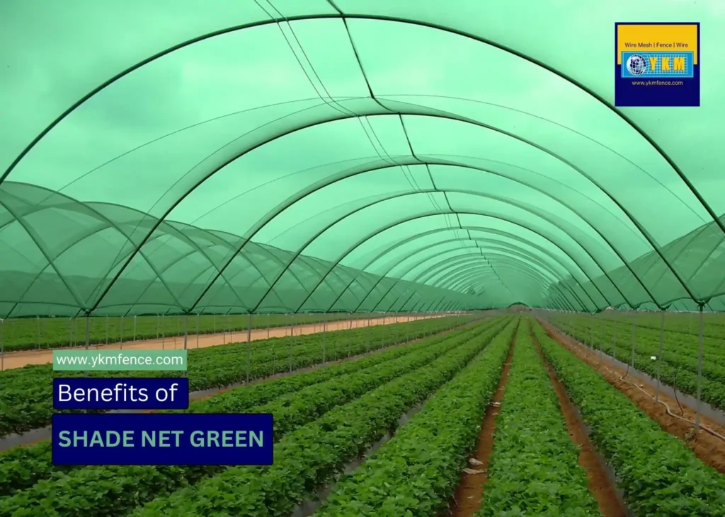 The Benefits of Shade Net Green