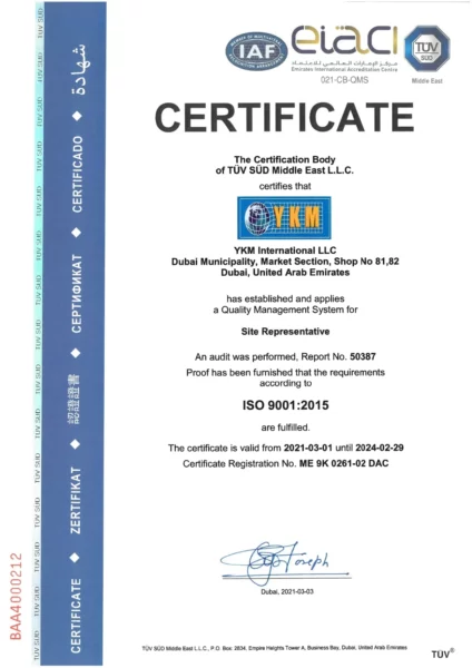 YKM INTERNATIONAL LLC SITE REPRESENTATIVEt LLC - ISO 9001.2015 - 2021-03-01 until 2024-02-29 S2_page-0001-min
