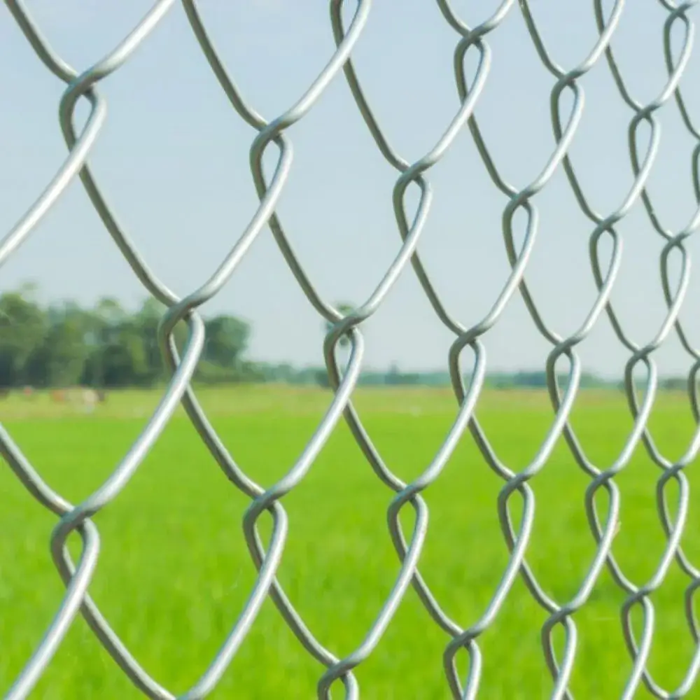 Stainless Steel Chain Link Fencing Suppliers in UAE & MENA Region